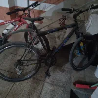 دوچرخه 26 ویوا