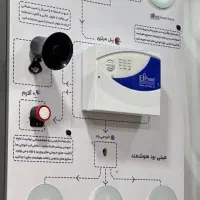 دزد گیر هوشمند. یعنی این