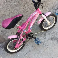 دوچرخه دوازده صورتی|دوچرخه، اسکیت، اسکوتر|خزل, |دیوار