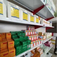 کبوتر پرشی|پرنده|تهران, تهرانپارس جنوبی|دیوار