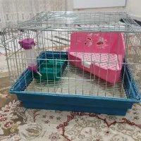 قفس خرگوش