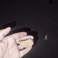 سنگ|جواهرات|گرگان, |دیوار