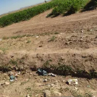 52 هکتار زمین کشاورزی|فروش دفتر صنعتی، کشاورزی، تجاری|میمه, |دیوار