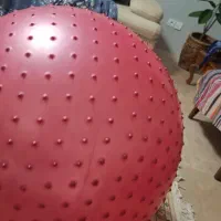 توپ پیلاتس بزرگ خاردار