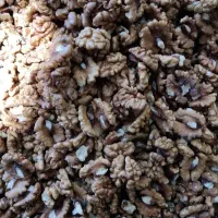 خرمایی ایرانی درجه یک