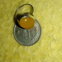 شرف شمس به شرط کهنه بکار