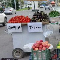 گاری برای میوه فروشی