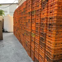 سبد کوچک وبزرگ در حدنو