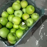 یک تن سیب سبز