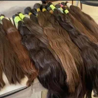 خریدار اصلی مو