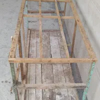 لونه پرنده و حیوانات