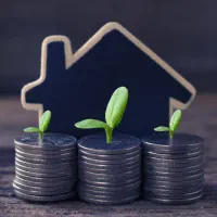 م-س-ک-ن-م-ل-ی