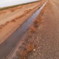 زمین کشاورزی  مناسب سرمایه گذاری برق و گاز داره|فروش دفتر صنعتی، کشاورزی، تجاری|گرمسار, |دیوار