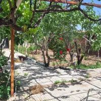 باغ ویلای زیبا روستای ولی آباد|فروش خانه و ویلا|بوئین زهرا, |دیوار