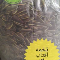 تخمه آفتابگردان خارجی|خوردنی و آشامیدنی|کرج, برغان|دیوار