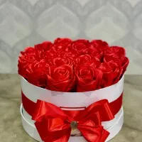 گل رز های قشنگ|گل و گیاه طبیعی|مشگین شهر, |دیوار