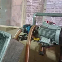 نبات|فروشگاه و مغازه|بردسکن, |دیوار