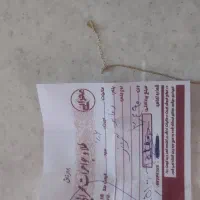 گردنی تک پوش12گرم سایز 2|جواهرات|کوهدشت, |دیوار