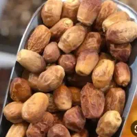 ضایعات خورما اخام داری
