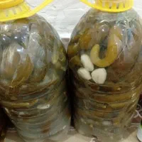 خیارشور ریز