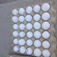 تخم مرغ شکسته (نوکی)