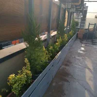 باغبانی .هرس درخت و درختچه .سم پاشی|خدمات باغبانی و درختکاری|کرج, دهقان ویلا|دیوار