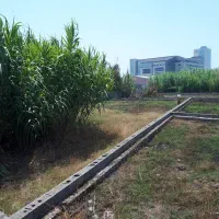 زمین ویلایی در بابلسر