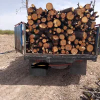 خرید چوب و هیزم باغی.|خدمات باغبانی و درختکاری|شاهرود, |دیوار