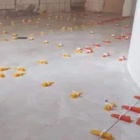 کاشی کاری   و سرامیک و اجر نما و سنگ|خدمات پیشه و مهارت|تهران, افسریه شمالی|دیوار