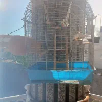 پرنده