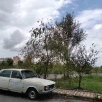 پیکان تاکسی مدل۸۲