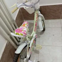 دوچرخه