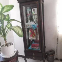 ویترین سالم