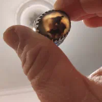 انگشتر شجر|جواهرات|ارومیه, |دیوار