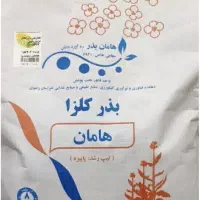 2.5 تا 3 کیلو بذر کلزا هامان فروشی دارم .نیشابور