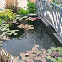 اجرای فیلتر بیولوژیک برکه ماهی کوی