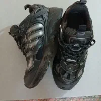 کتونی zx فارماتوم