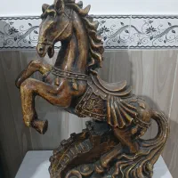 اسب|اسب و تجهیزات اسب‌سواری|ابهر, |دیوار