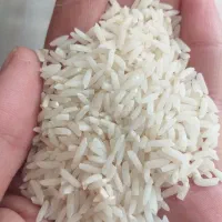 برنج طارم معطر به شرط علا 5 ستاره قیمت کاملا ویژه|خوردنی و آشامیدنی|کرج, کوی مهر|دیوار