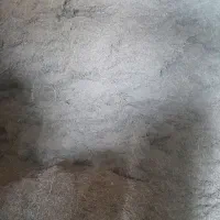 علوفه یا گیاه دام|لوازم جانبی حیوانات|کرفتو, |دیوار