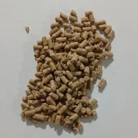 دان مرغ گوشتی کارخونه خوراک هزار دشت