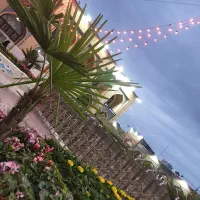 کاروان زیارتی مشهد مقدس 20آبان حرکت|تور و چارتر|زابل, |دیوار