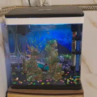 آکواریوم با تمام لوازم