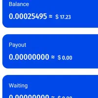 راه اندازی ماینر با نت ملی