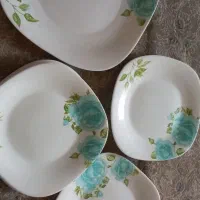 سرویس آرکوپال نو