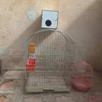 قفس پرنده