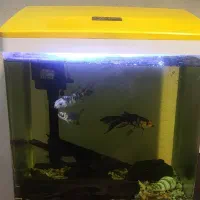آکواریوم شرکتی کامل با کلیه تجهیزات