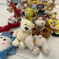 اسباب بازی پولیشی