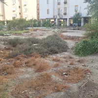 نگهبان مجتمع مسکونی