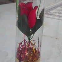 تعدادی گلدان|صنایع دستی و سایر لوازم تزئینی|مشکین‌دشت, |دیوار